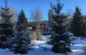 Hytte i Nordlige Varmland ved Branas